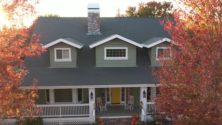 Roof Moss and Algae Removal in Deforest, WI