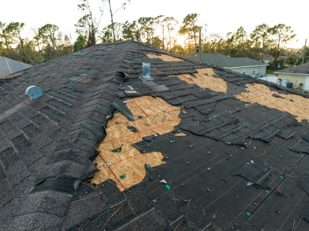 Trusted Deforest, WI Roofing service Experts